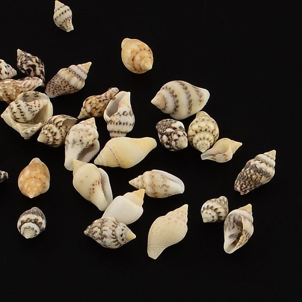 

PandaHall Natural Spiral Shell Beads, No Hole, Lemon Chiffon, 7~12x3~7x3~7mm, about 3875pcs/500g Spiral Shell Shell Shape Yellow