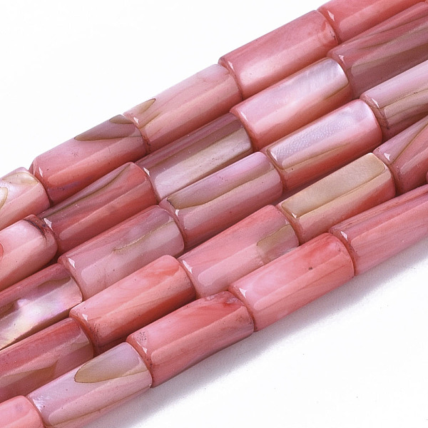 

PandaHall Natural Freshwater Shell Beads, Dyed, Column, Light Coral, 10x4.5mm, Hole: 0.9mm, about 36pcs/Strand, 14.17 inch(36 cm) Freshwater..., Red