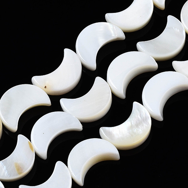 

PandaHall Natural Freshwater Shell Beads Strands, Moon, Seashell Color, 11x8x2~3mm, Hole: 1mm, about 33pcs/strand, 14.92~15.08(37.9~38.3cm)...
