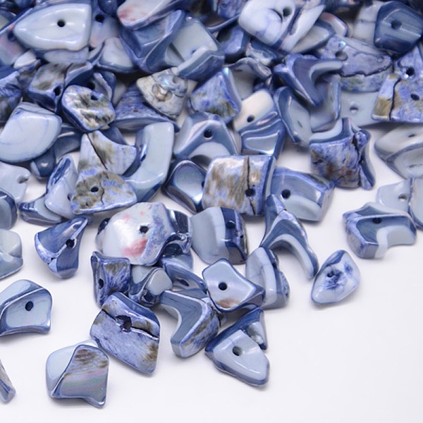 

PandaHall Dyed Natural Freshwater Shell Chips Beads, Shell Shards, Steel Blue, 9~12x6~15mm, Hole: 1mm, about 900pcs/500g Freshwater Shell...