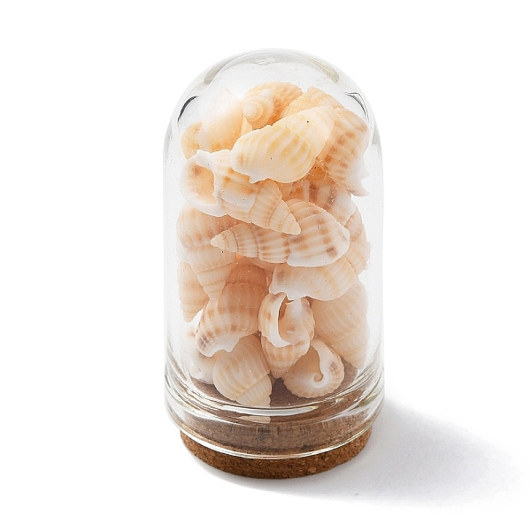

PandaHall Glass Dome Bottle Display Decorations, with Natural Shell Bead Inside and Cork Base, Wheat, 46~48x25mm Shell Shell Shape Orange