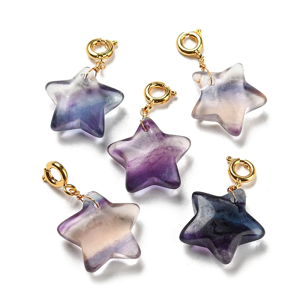 

PandaHall Carved Natural Fluorite Pendants, with Brass Spring Ring Clasps, Long-Lasting Plated, Star, Golden, 27mm, Pendant...