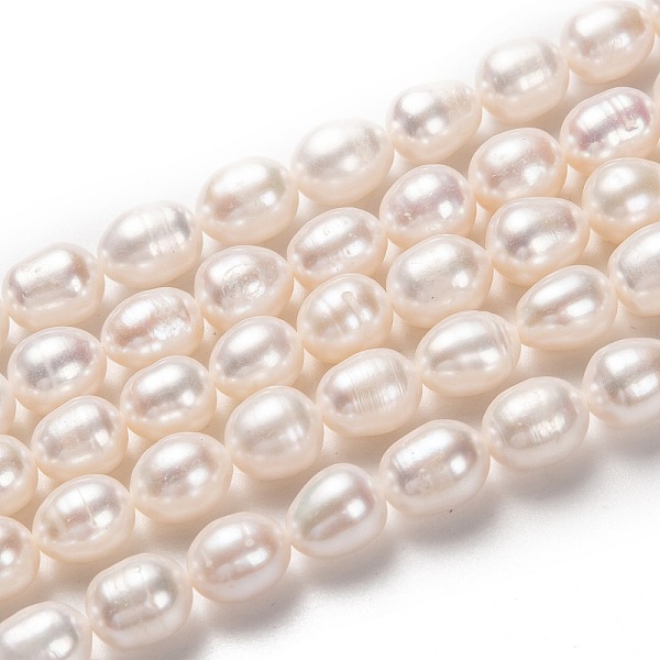 

PandaHall Natural Cultured Freshwater Pearl Beads Strands, Rice, Bisque, 9x8mm, Hole: 0.8mm, about 41pcs/strand, 14.96 inch(38cm) Pearl Rice..., Orange