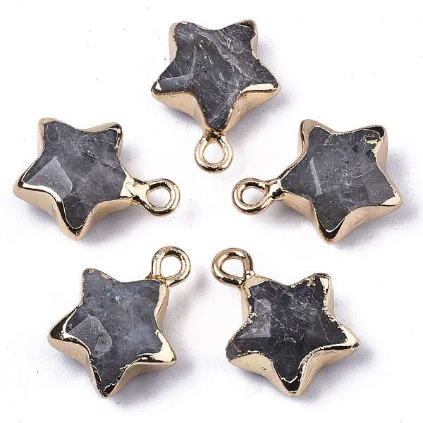 

PandaHall Natural Labradorite Pendants, with Light Gold Plated Edge and Brass Loop, Star, Faceted, 16~17x13x6.5mm, Hole: 1.6mm Labradorite...