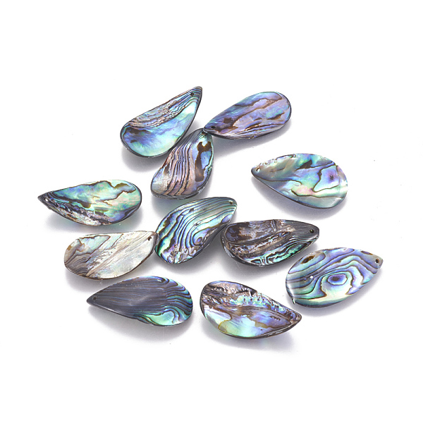 Natural Abalone She… - image