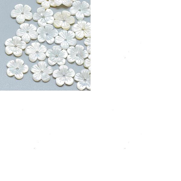 

PandaHall Natural Shell Beads, Flower, Seashell Color, 10x10x2mm, Hole: 1mm White Shell Flower