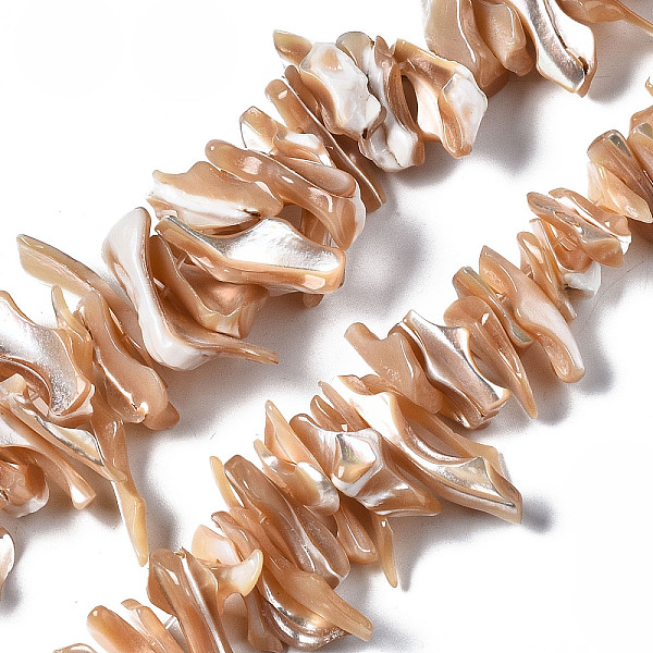 

PandaHall Natural Trochid Shell/Trochus Shell Beads Strands, Nuggets, BurlyWood, 1~13x14~42x4~13mm, Hole: 0.8mm, about 110~122pcs/strand..., Orange