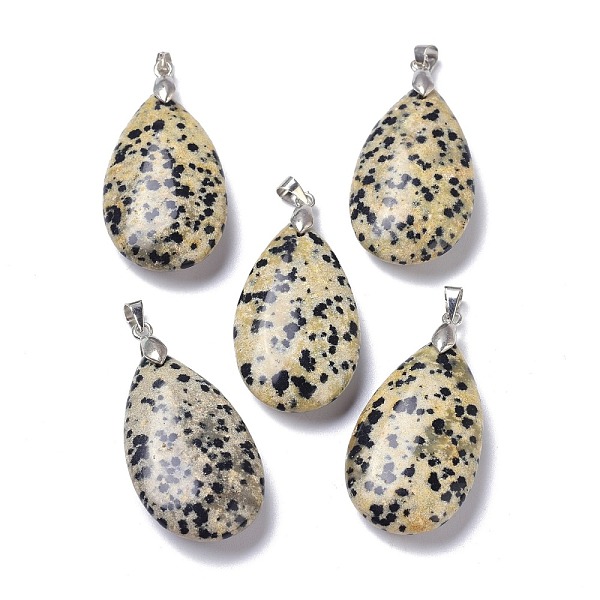 

PandaHall Natural Dalmatian Jasper Pendants, with Brass Finding, Teardrop, 35x20x7.5~9mm, Hole: 4x3.5mm Dalmatian Jasper Teardrop