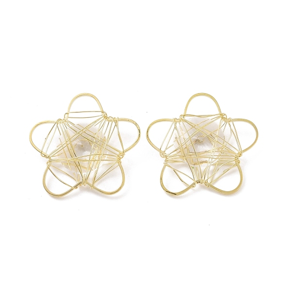 

PandaHall Glass Pendants, with Golden Plated Brass Findings, Cadmium Free & Lead Free, Flower, Clear, 29x30.5x6mm, Hole: 3.5x8mm Brass+Glass...