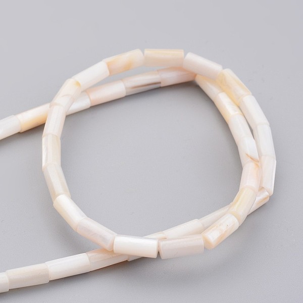 

PandaHall Natural Shell Bead Strands, Dyed, Column, Seashell Color, 5x10mm, Hole: 1mm, about 39pcs/strand, 15.9 inch Other Sea Shell Column