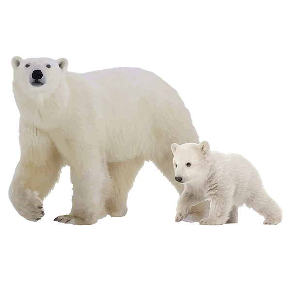 PandaHall SUPERDANT Polar Bear Wall Sticker Realistic 3D Bears Wall Decals Jungle Animal Decor for Pet Lover Home Art PVC Bear