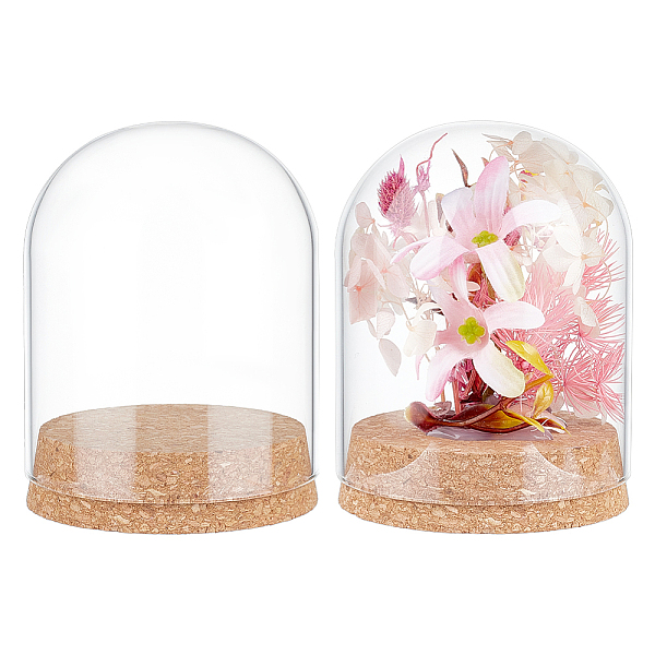 Glass Dome Cover - image