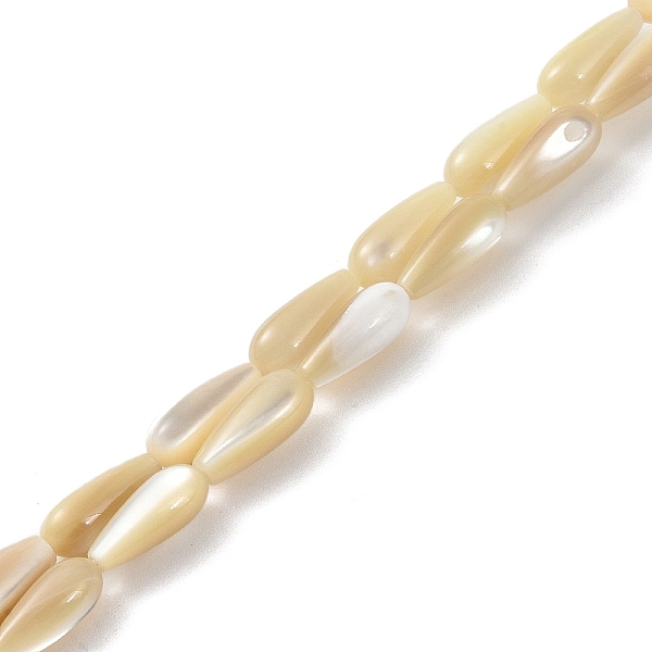 

PandaHall Natural Trochus Shell Beads, Teardrop, Wheat, 12x5mm, Hole: 0.8mm Trochus Shell Teardrop Orange