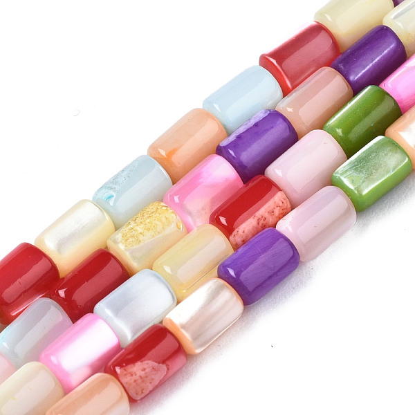 

PandaHall Natural Trochid Shell Beads Strands, Dyed, Column, Mixed Color, 5x3.5mm, Hole: 0.6mm, about 82~83pcs/strand, 15.67 inch~15.83..., Multicolor