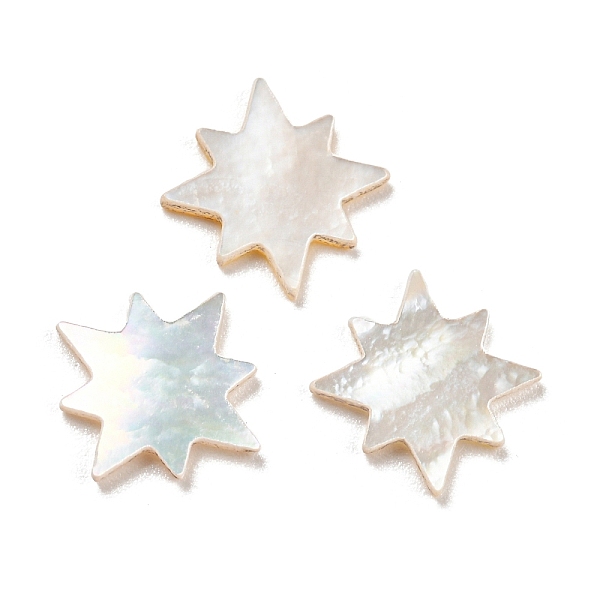 

PandaHall Natural Sea Shell Cabochons, Star, White, 9.5x9.5x1mm Sea Shell Star White