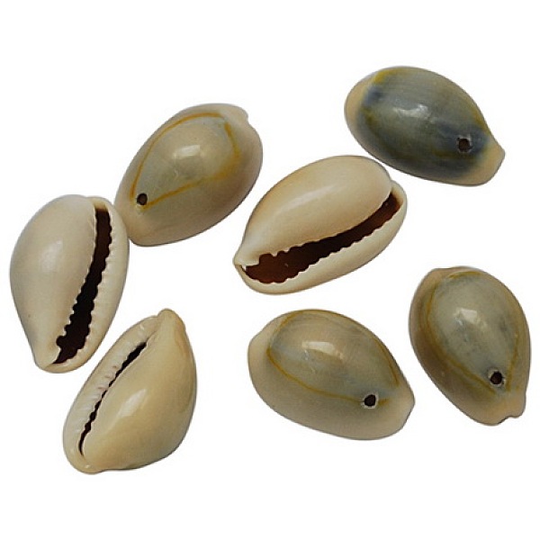 Natural Cowrie Shell Pendants