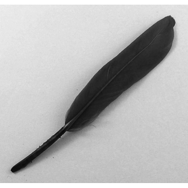 PandaHall Fashion Feather Costume Accessories, Black, 100~175x13~25mm Feather Feather Black