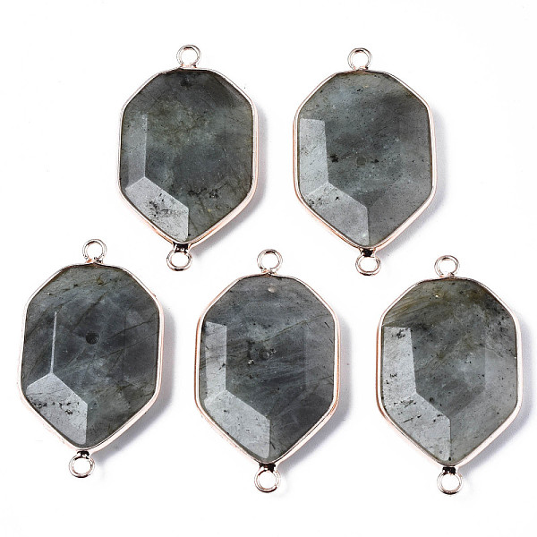 

PandaHall Natural Labradorite Links Connectors, with Edge Rose Gold Plated Brass Findings, Faceted, Polygon, 39~40x22~23x5~7mm, Hole: 2.5mm...