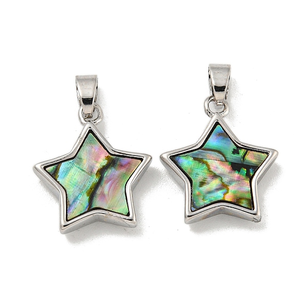 Natural Paua Shell … - image