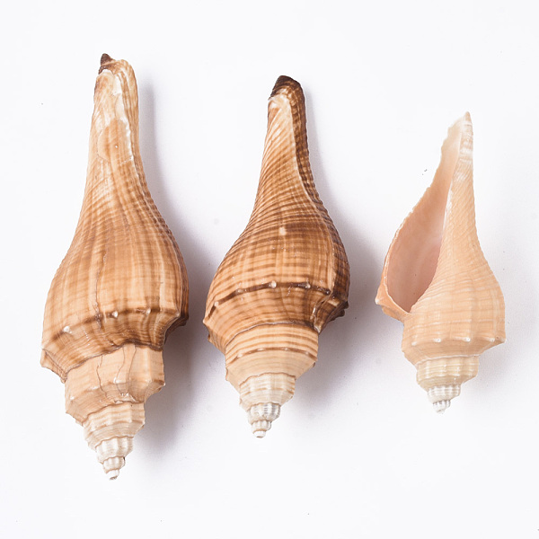 

PandaHall Natural Conch Shell Beads, Undrilled/No Hole Beads, Sandy Brown, 88~130x38~44x35~42.5mm Spiral Shell Shell Shape Brown