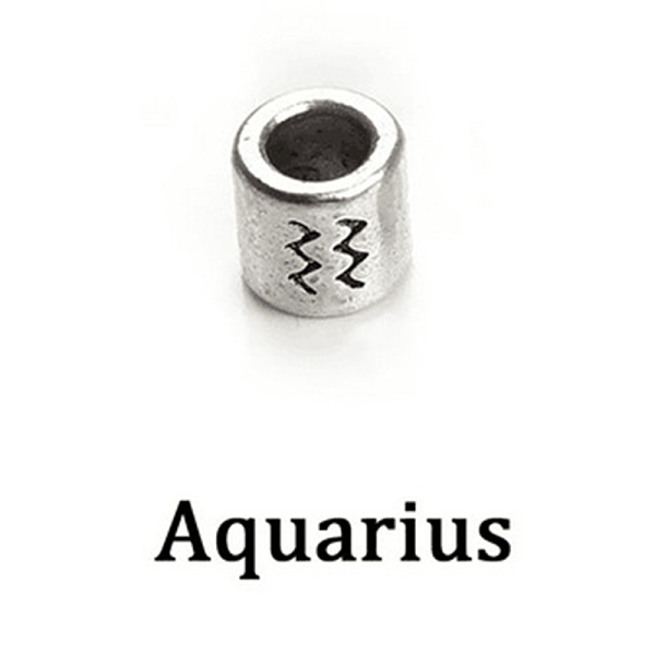

PandaHall Antique Silver Plated Alloy European Beads, Large Hole Beads, Column with Twelve Constellations, Aquarius, 7.5x7.5mm, Hole: 4mm...