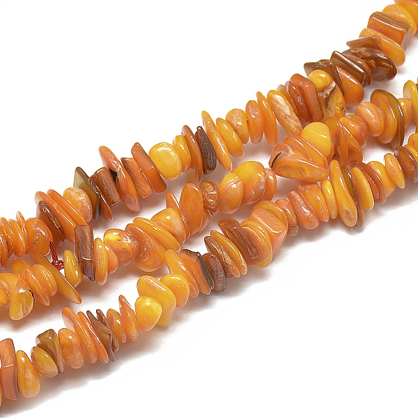 

PandaHall Freshwater Shell Beads Strands, Dyed, Chip, Dark Orange, 8~28x6~8x1~4.5mm, Hole: 1mm, about 340~380pcs/strand, 29.9 inch...