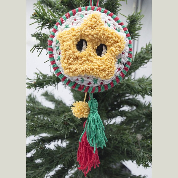 

PandaHall Punch Embroidery Starter Kit, Including Plastic Embroidery Hoop, Alloy Needle, Punch Needle Pen, Fabric, Felt, Threader, Water..., Multicolor