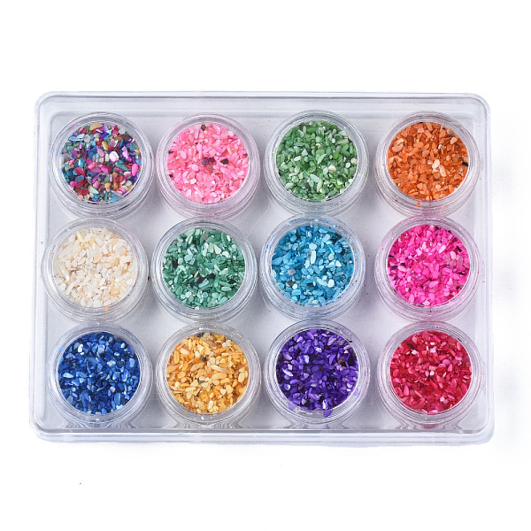 

PandaHall Natural Freshwater Shell Flakes, Manicure Nail Art Decoration, Mixed Color, 0.5~4x0.5~2x0.1~1mmk, , about 10g/bottle..., Multicolor