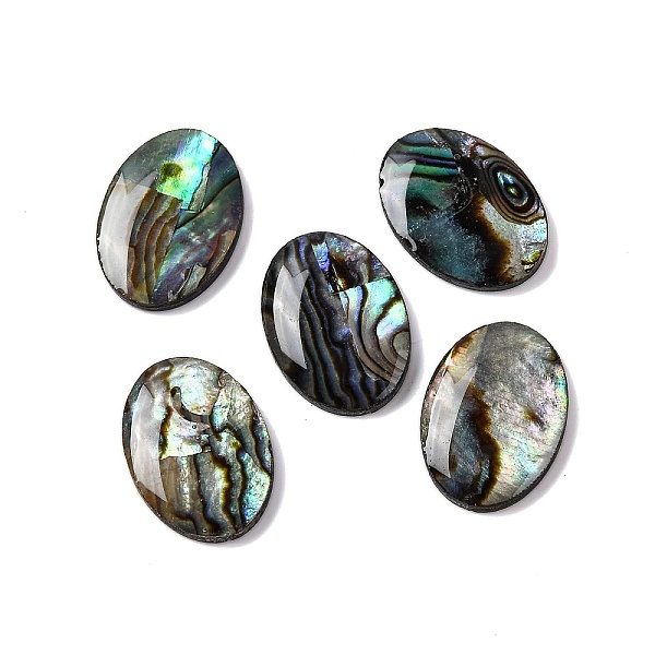 Natural Paua Shell … - image