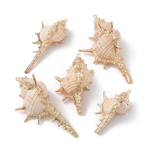 

PandaHall Electroplate Spiral Shell Big Pendants, Spray Painted Shell Charms with Light Gold Plated Iron Loops, White, 50~92x27~44x26~32mm...