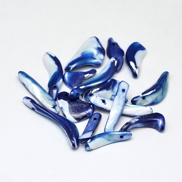 

PandaHall Dyed Natural Shell Nugget Stick Beads, Blue, 22~33x10~15mm, Hole: 1.5mm, about 300pcs/500g Other Sea Shell Stick Blue