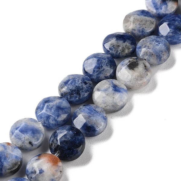 

PandaHall Natural Blue Spot Jasper Beads Strands, Faceted, Flat Round, 10~10.5x4.5~5.5mm, Hole: 1.2mm, about 20pcs/strand, 7.80 inch(19.8cm)...