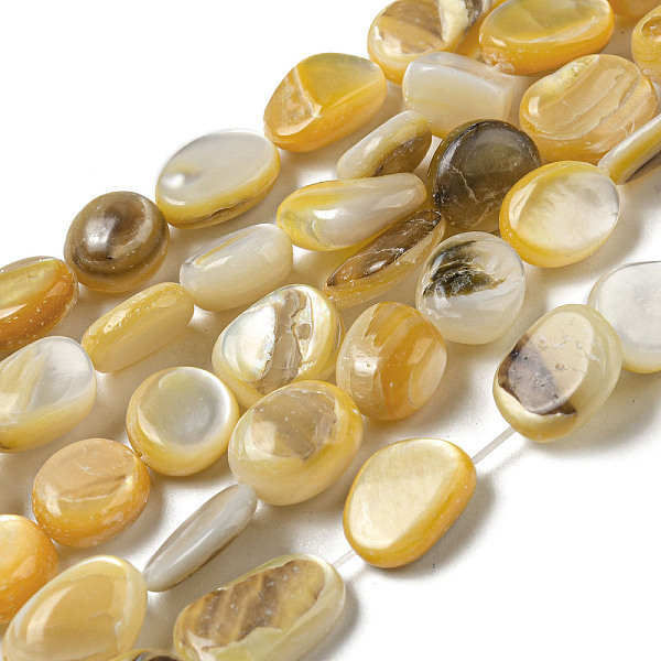 

PandaHall Natural Yellow Shell Beads Strands, Dyed, Nuggets, Goldenrod, 9~16.5x8~9x2.4~7mm, Hole: 0.8mm, about 34~35pcs/strand..., Gold