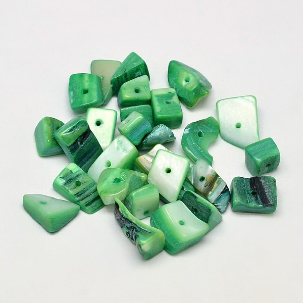 

PandaHall Dyed Natural Freshwater Shell Nuggets Chips Beads, Green, 10~20x5~15mm, Hole: 1mm, about 330pcs/500g Freshwater Shell Chip Green