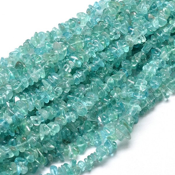 

PandaHall Natural Apatite Chip Beads Strands, 5~14x4~10mm, Hole: 1mm, about 15.5 inch~16.1 inch Apatite Chip