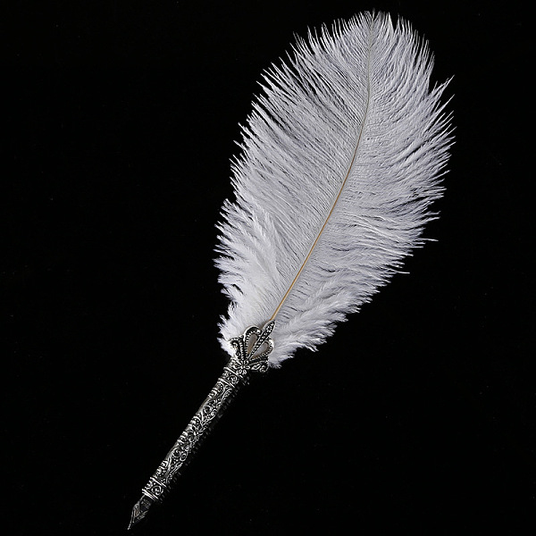 Feather Dipped Pen Calligraphy Ink Pen