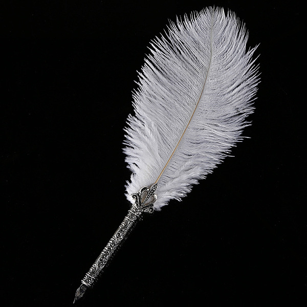 

PandaHall Feather Dipped Pen Calligraphy Ink Pen, with Alloy Head, White, 250~300mm Alloy White