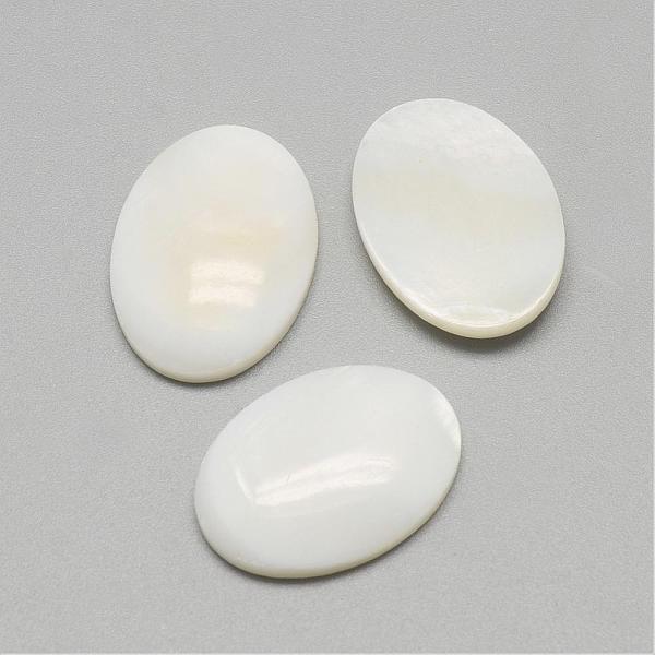 Freshwater Shell Ca… - image