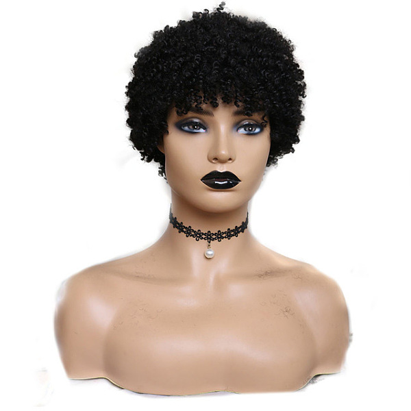 PandaHall Afro Short Curly Wigs for Women, Synthetic Wigs with Bangs, Heat Resistant High Temperature Fiber, Black, 11 inch(28cm) High...
