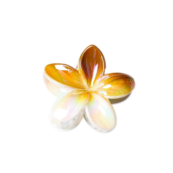 Resin Claw Hair Cli… - image