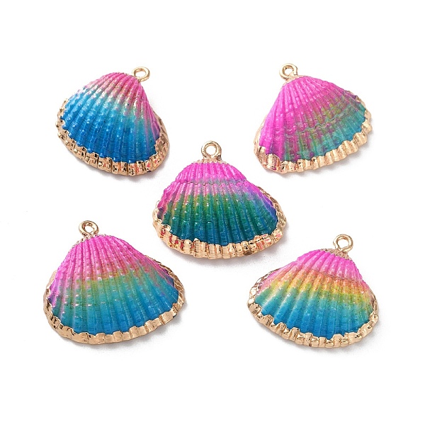 Sea Shell Pendants