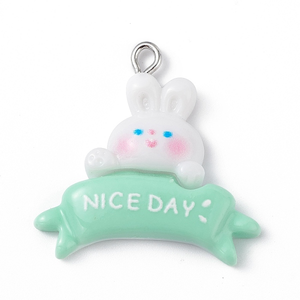 

PandaHall Opaque Resin Pendants, Rabbit Charms, with Platinum Tone Iron Loops, Rabbit, 29x29x5.5mm, Hole: 2mm Iron+Resin Rabbit