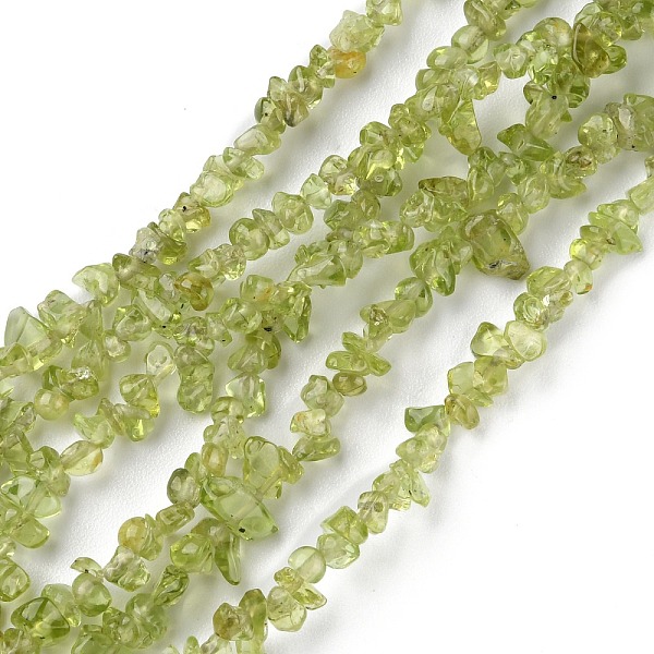 

PandaHall Natural Peridot Beads Strands, Chip, 1.5~4.5x3~13x2.5~8mm, Hole: 0.6mm, 30.94~31.97 inch(78.6~81.2cm) Peridot Chip