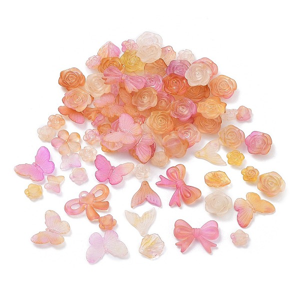 

PandaHall DIY Jewelry Making Finding Kit, Including Transparent Acrylic Charms and Beads, Frosted, Mixed Shapes, Colorful, 11~30x12~41x3~9mm...