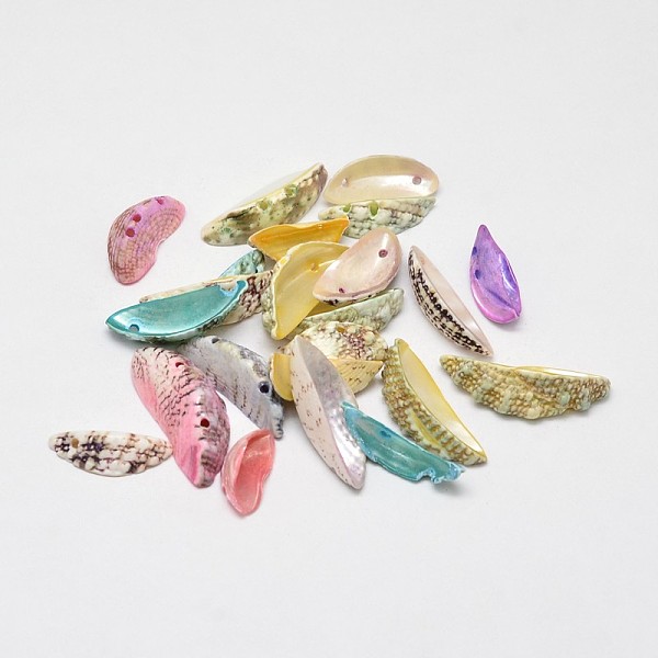 

PandaHall Dyed Natural Shell Half Moon Beads, Mixed Color, 17~26x8~15x5~7mm, Hole: 1mm, about 650pcs/500g Other Sea Shell Moon Multicolor