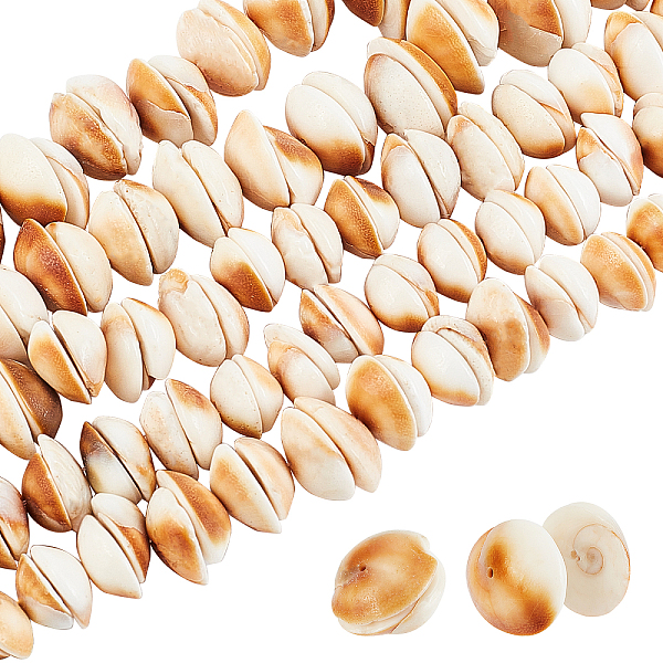 

PandaHall 5 Strands Natural Shell Beads Strands, Half Round, BurlyWood, 8~20x8~20x3~7mm, Hole: 1mm, about 28~54pcs/strand, 6.69 inch~7.09..., Orange