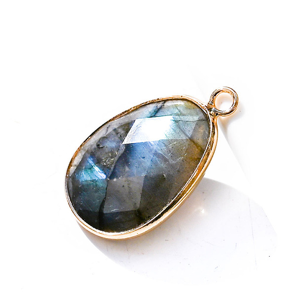 

PandaHall Natural Labradorite Pendants, Faceted Teardrop Charms, Golden, 23x18mm Labradorite Teardrop