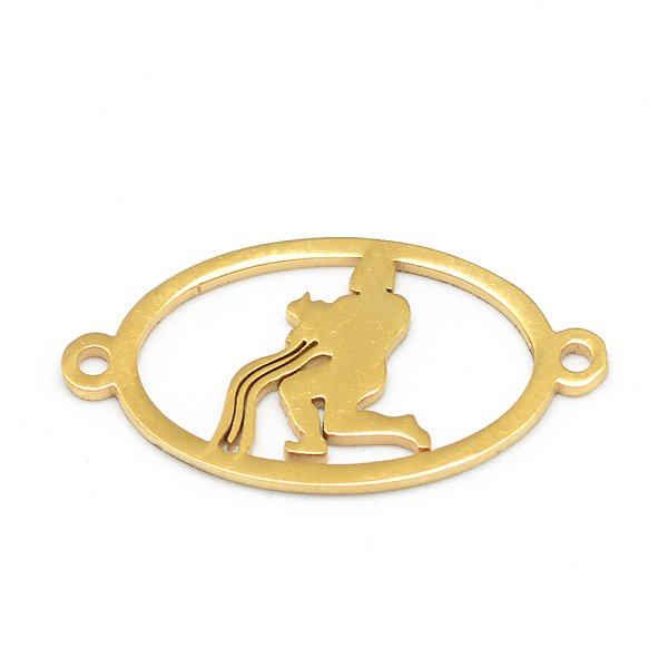 

PandaHall 304 Stainless Steel Links Connectors, Oval with Twelve Constellation/Zodiac Sign, Aquarius, 23x12x1mm, Hole: 1.5mm 304 Stainless...
