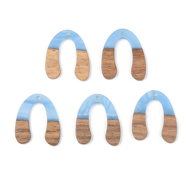 

PandaHall Opaque Resin & Walnut Wood Pendants, U Shape, Cornflower Blue, 28x24x3mm, Hole: 2mm Resin+Wood Others