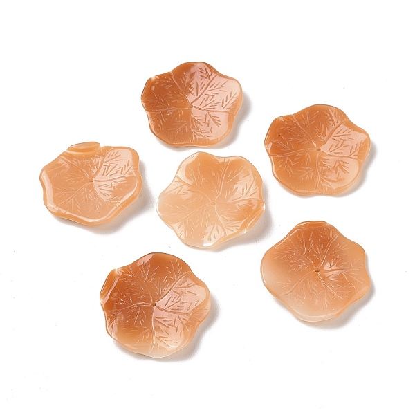 

PandaHall Natural Shell Beads, Lotus Leaf, Tomato, 25.5x26x3mm, Hole: 1.2mm Other Sea Shell Leaf Red